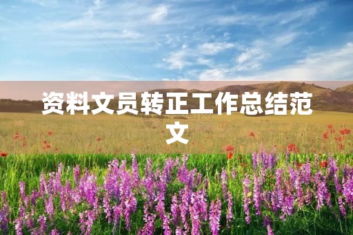 资料文员转正工作总结范文
