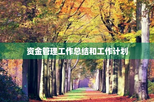 资金管理工作总结和工作计划