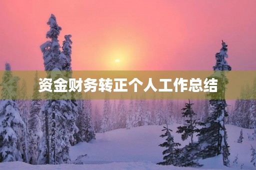 资金财务转正个人工作总结