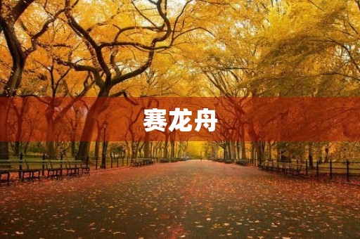 赛龙舟 赛龙舟