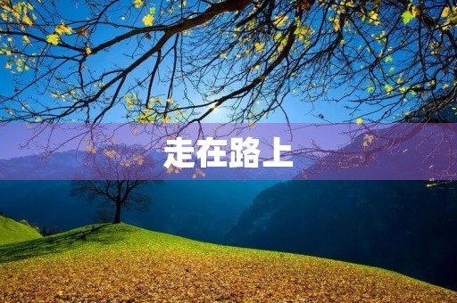 走在路上
