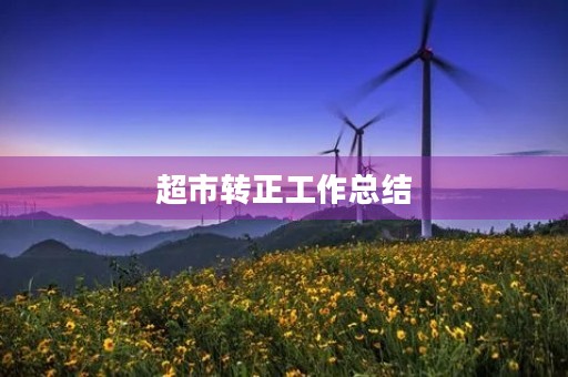 超市转正工作总结