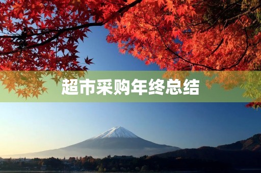超市采购年终总结