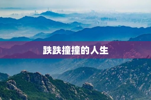 跌跌撞撞的人生