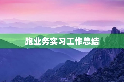 跑业务实习工作总结