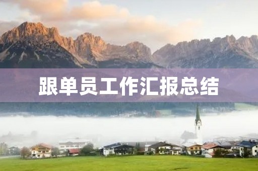 跟单员工作汇报总结【7篇】