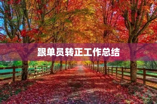 跟单员转正工作总结