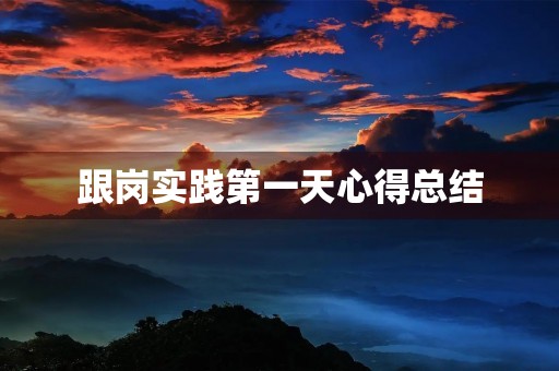 跟岗实践第一天心得总结 跟岗实践第一天心得总结