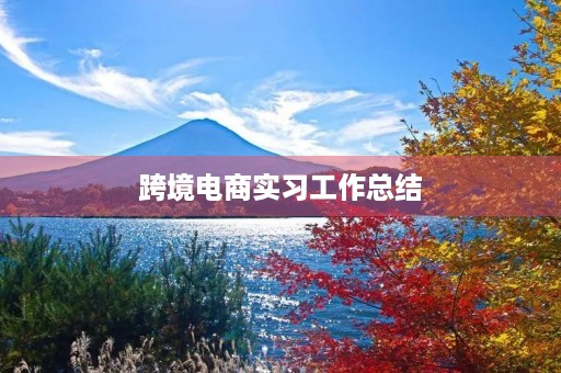 跨境电商实习工作总结