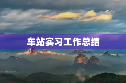 车站实习工作总结