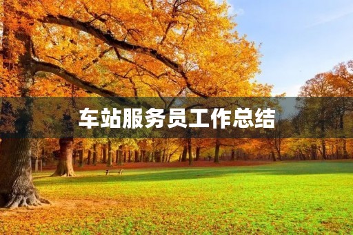 车站服务员工作总结