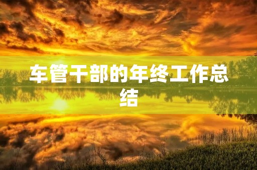 车管干部的年终工作总结