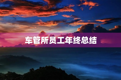 车管所员工年终总结 车管所员工年终总结