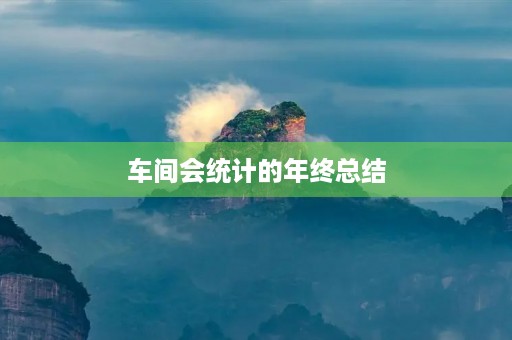 车间会统计的年终总结