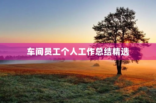 车间员工个人工作总结精选