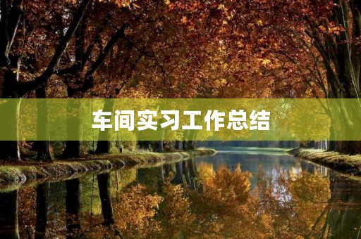 车间实习工作总结(5篇) 车间实习工作总结(5篇)