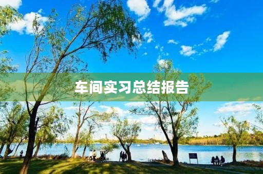 车间实习总结报告