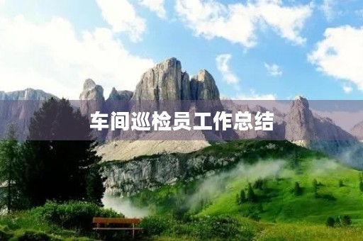 车间巡检员工作总结