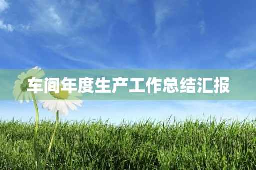 车间年度生产工作总结汇报