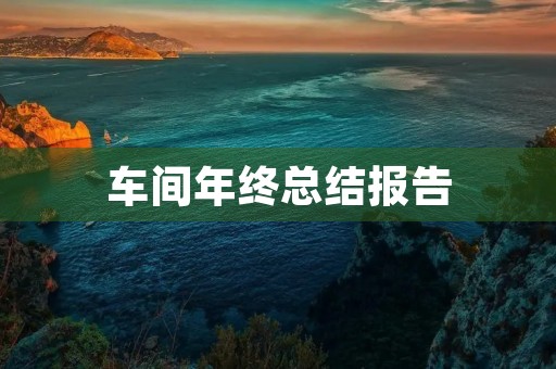 车间年终总结报告