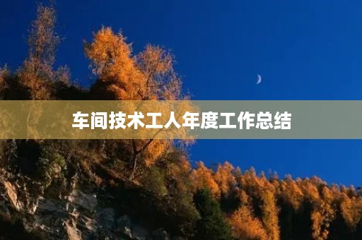 车间技术工人年度工作总结