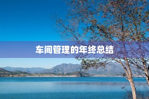 车间管理的年终总结