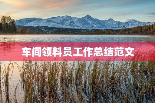 车间领料员工作总结范文