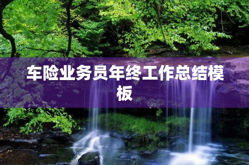 车险业务员年终工作总结模板 车险业务员年终工作总结模板