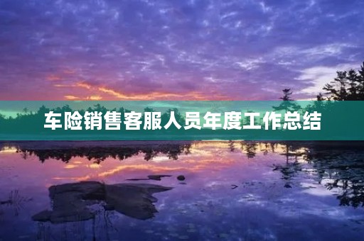 车险销售客服人员年度工作总结