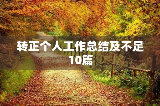 转正个人工作总结及不足10篇