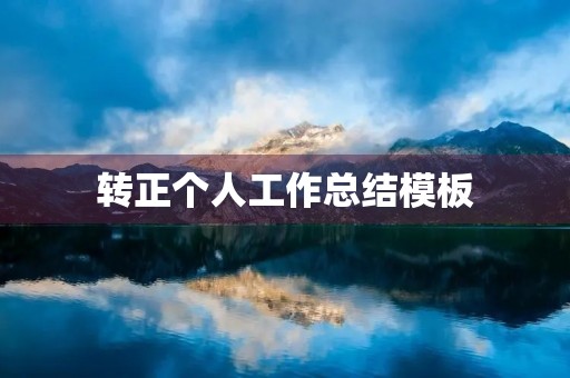 转正个人工作总结模板