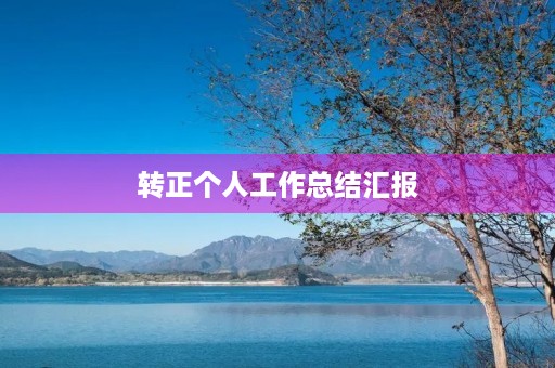 转正个人工作总结汇报(10篇)