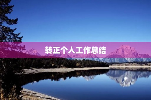 转正个人工作总结
