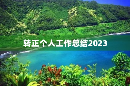 转正个人工作总结2023(10篇)