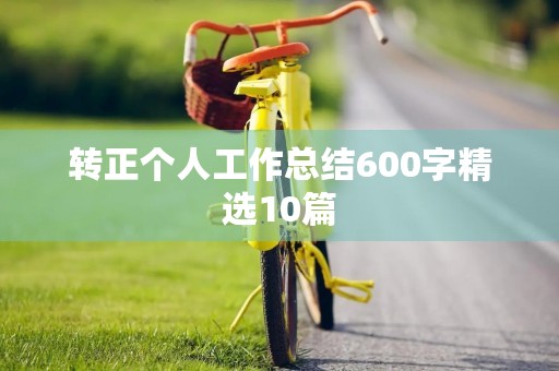 转正个人工作总结600字精选10篇
