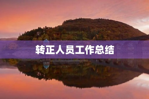 转正人员工作总结(10篇)