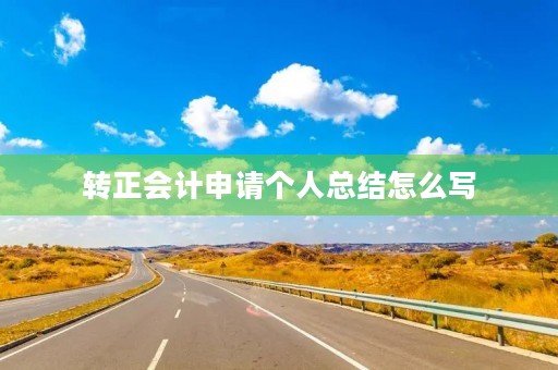转正会计申请个人总结怎么写