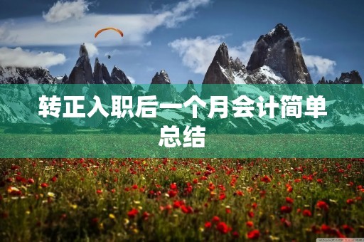 转正入职后一个月会计简单总结