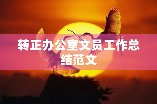 转正办公室文员工作总结范文