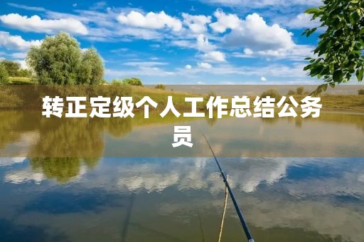 转正定级个人工作总结公务员