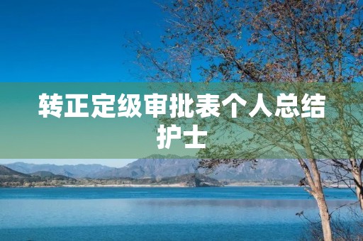 转正定级审批表个人总结护士
