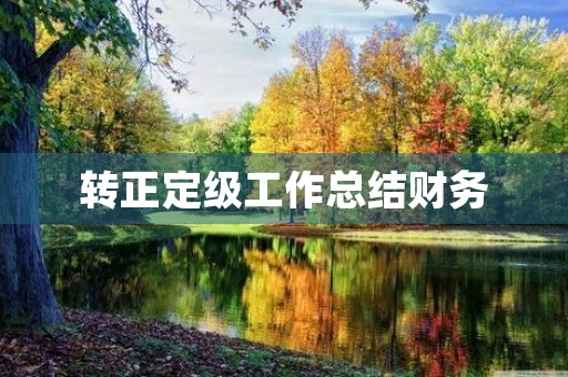 转正定级工作总结财务
