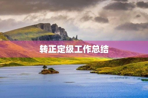 转正定级工作总结