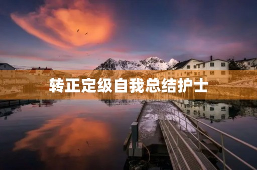 转正定级自我总结护士