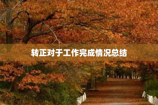 转正对于工作完成情况总结