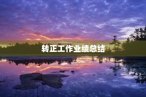 转正工作业绩总结