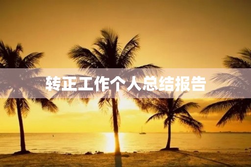 转正工作个人总结报告
