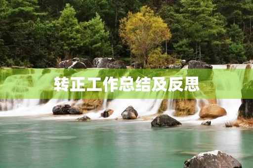转正工作总结及反思(12篇)