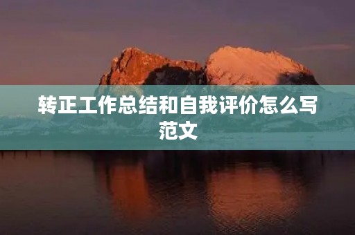 转正工作总结和自我评价怎么写范文