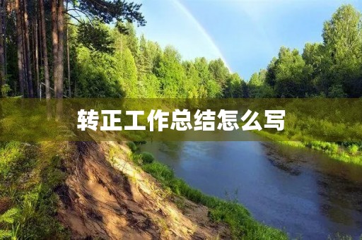 转正工作总结怎么写(14篇)